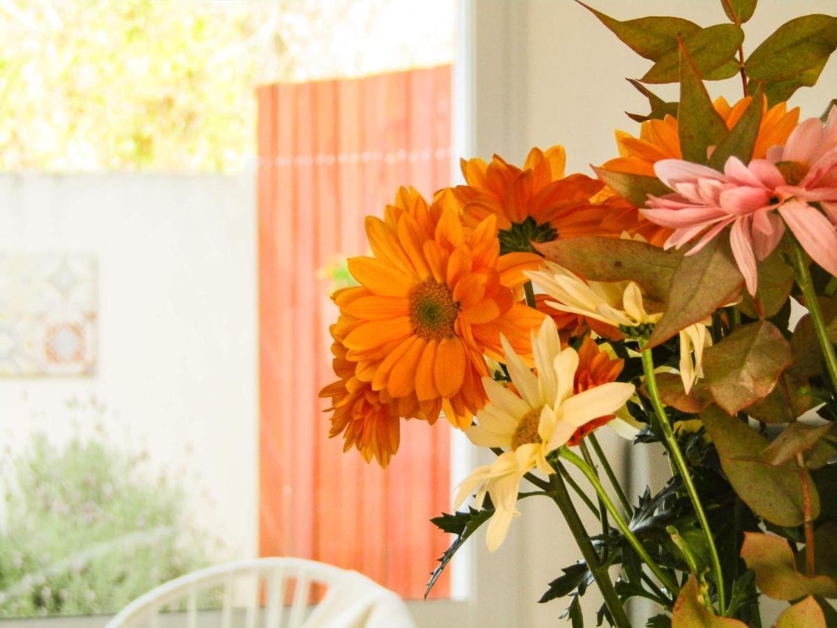Duplex Del Botanico Apartment